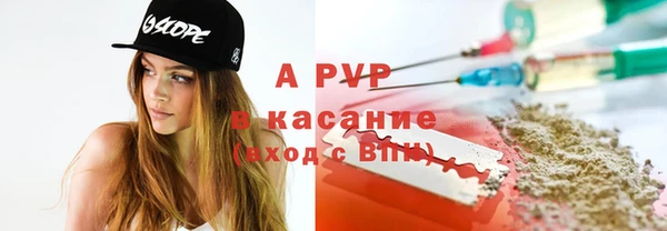 a pvp Белокуриха